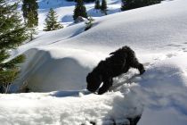 DSC_5251.jpg