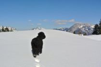 DSC_5262.jpg